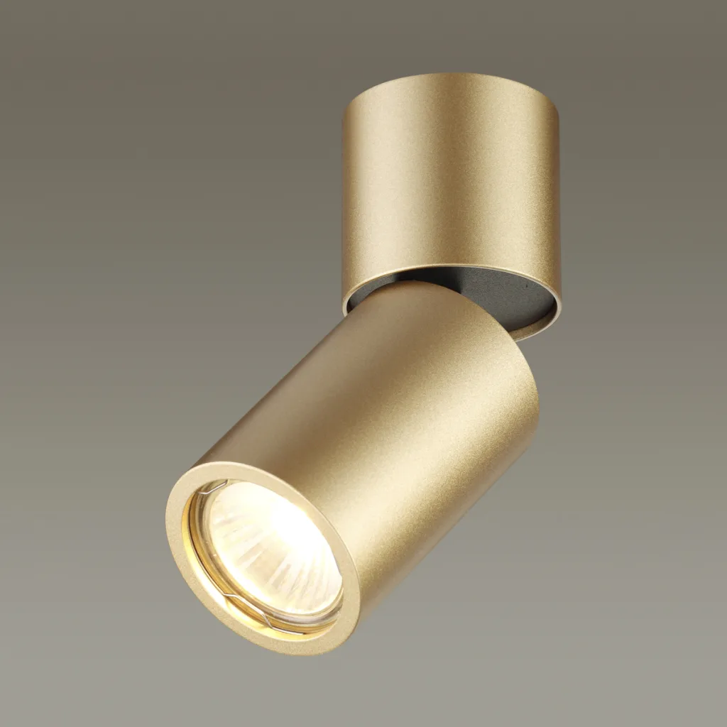 Потолочный светильник Odeon Light 3895/1C Duetta