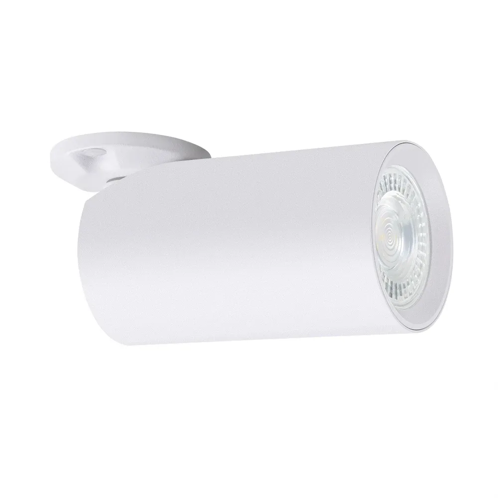 Спот Arte Lamp NODO