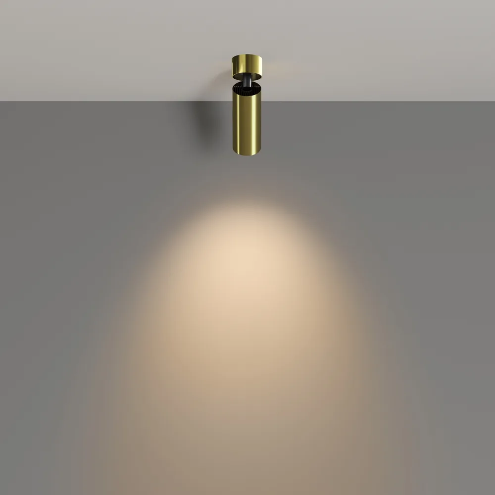 Потолочный светильник Фокус / FOCUS LED 12 Вт 3000 К 50°