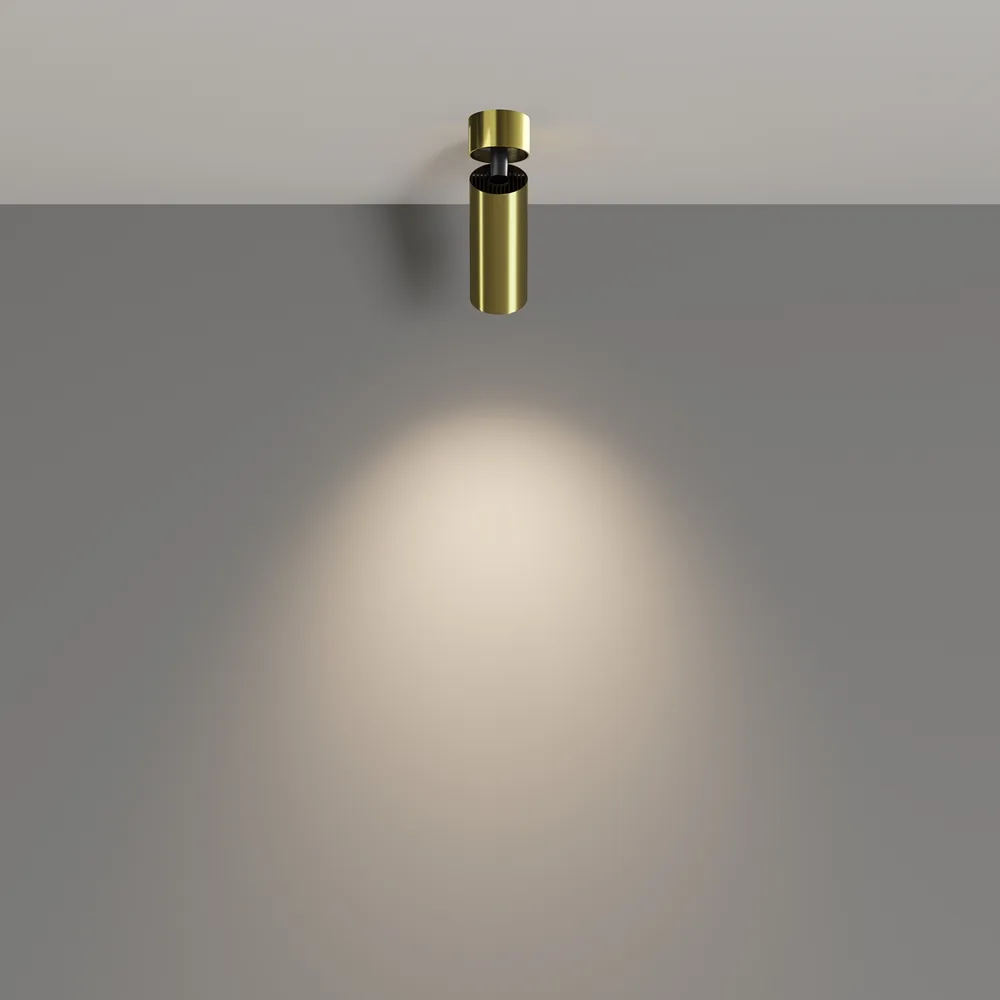 Потолочный светильник Фокус / FOCUS LED 12 Вт 4000 К 50°